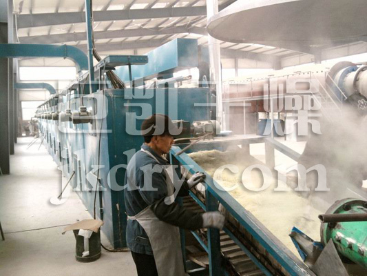 DW单层带式干燥机