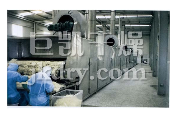 DWC系列脱水蔬菜带式干燥机