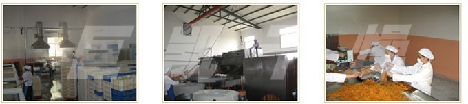 低温油炸真空干燥机